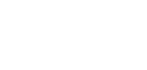 Venue Solutions Group